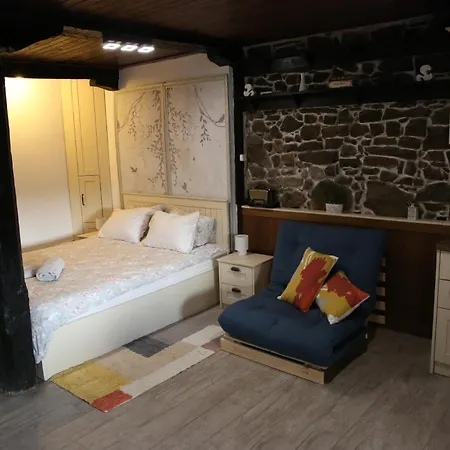 Pensionat The Lion's 4*