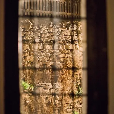 Guest house The Lion's 4*