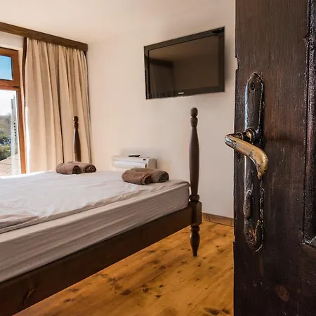 Guest house The Lion's