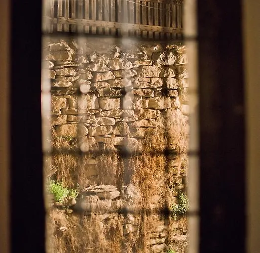 Guest house The Lion's 4*