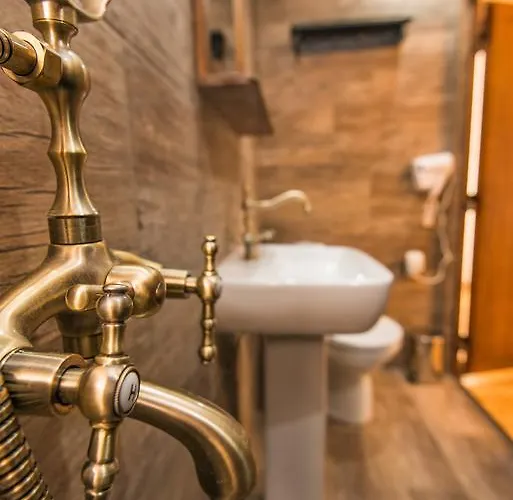 The Lion's Veliko Tarnovo