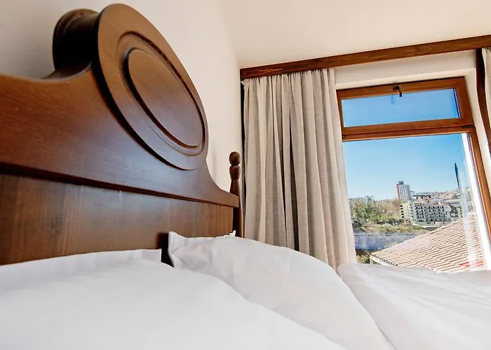 Guest house The Lion's Veliko Tarnovo